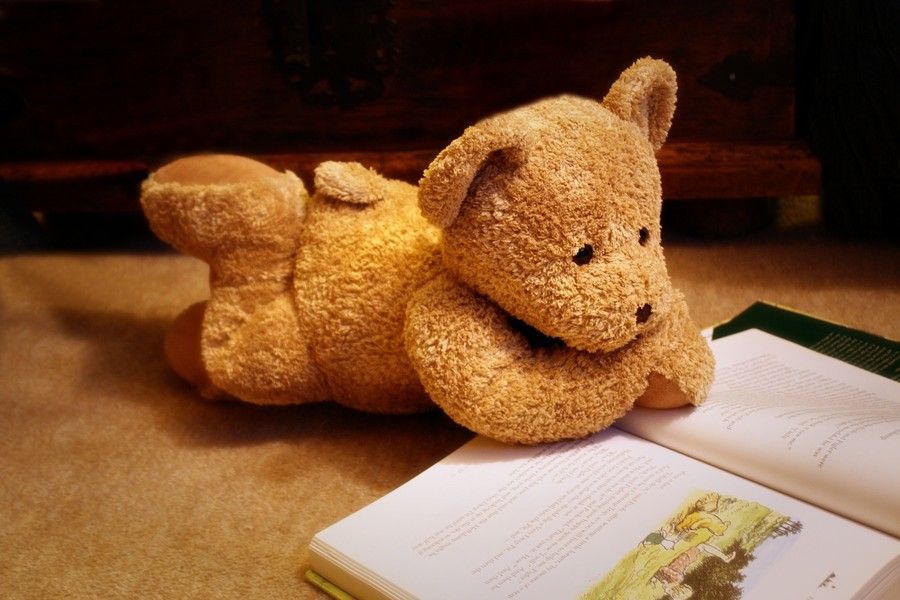 teddy bear reading