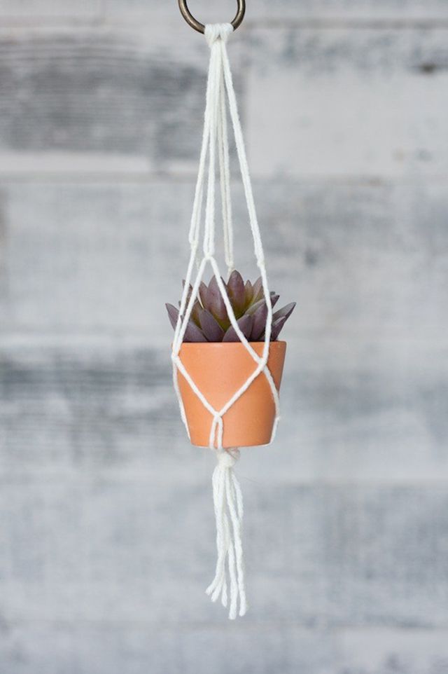 white macrame rope hanger holding a potted plant 
