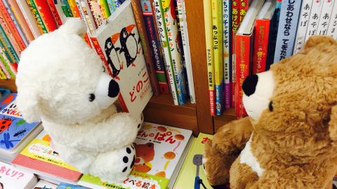 teddy bears at the library