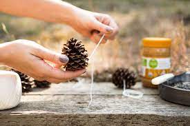 pine cones, string, two hands and peanut butter on a table