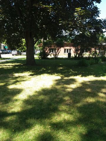 Bitterroot Public Library west lawn