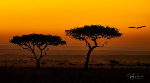 African savannah