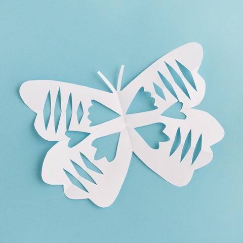 snowflake butterfly