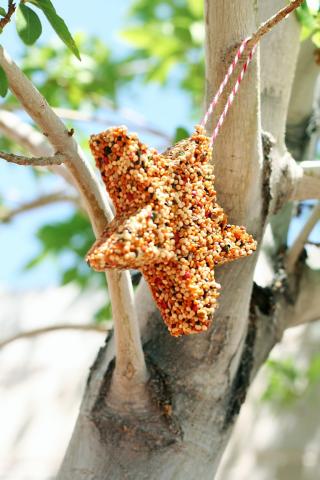 Star shaped bird feeder covered in small yellow seeds