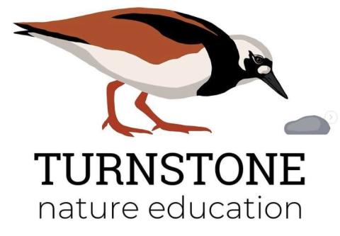 turnstone nature education logo