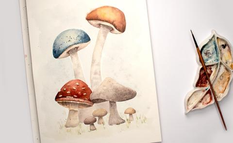 watercolor mushrooms