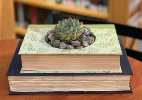 vintage book succulent planter