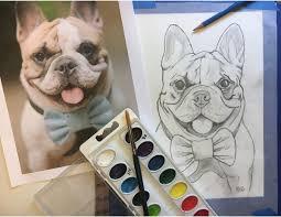 dog portrait
