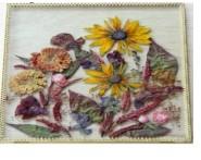 pressed flowers