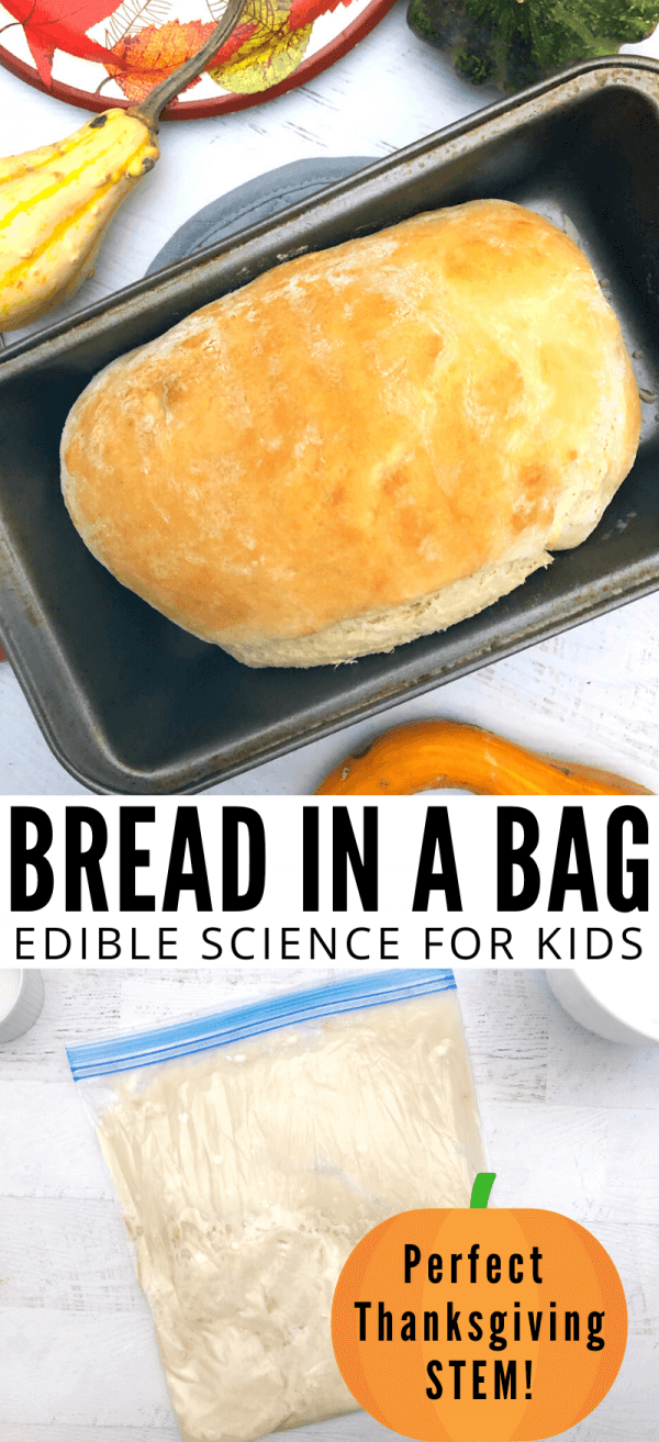 bread in a bag